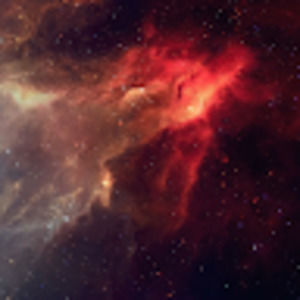 Meet your Posher, Grant